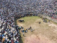 People watch a bullfight at the Songxue bullfight pond in Congjiang county, Southwest China's Guizhou province, on September 28, 2024. (