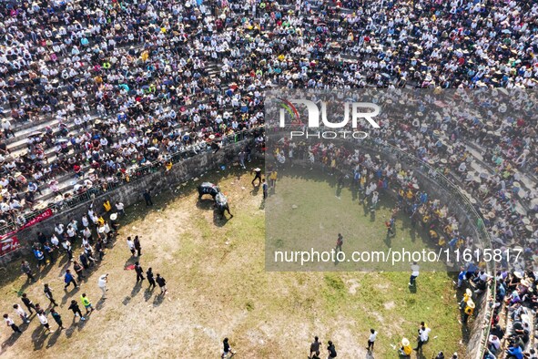 People watch a bullfight at the Songxue bullfight pond in Congjiang county, Southwest China's Guizhou province, on September 28, 2024. 