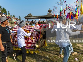 People watch a bullfight at the Songxue bullfight pond in Congjiang county, Southwest China's Guizhou province, on September 28, 2024. (