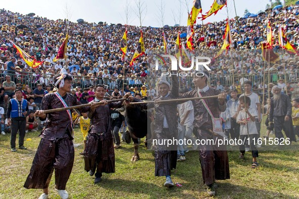 People watch a bullfight at the Songxue bullfight pond in Congjiang county, Southwest China's Guizhou province, on September 28, 2024. 