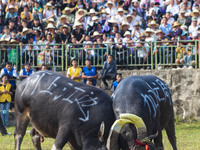 People watch a bullfight at the Songxue bullfight pond in Congjiang county, Southwest China's Guizhou province, on September 28, 2024. (