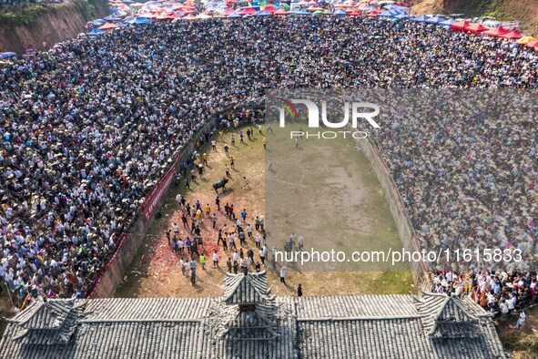 People watch a bullfight at the Songxue bullfight pond in Congjiang county, Southwest China's Guizhou province, on September 28, 2024. 