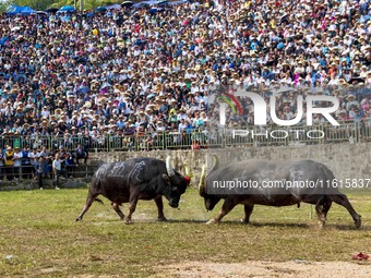 People watch a bullfight at the Songxue bullfight pond in Congjiang county, Southwest China's Guizhou province, on September 28, 2024. (