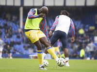 Jean-Philippe Mateta #14 of Crystal Palace F.C. warms up during the Premier League match between Everton and Crystal Palace at Goodison Park...