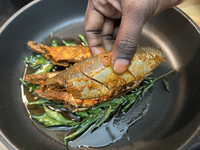 Sardines coated with masala spices fry in a pan as Kerala style mathi fry (sardine fish fry) is prepared in Toronto, Ontario, Canada, on Sep...