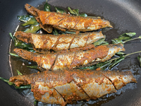 Sardines coated with masala spices fry in a pan as Kerala style mathi fry (sardine fish fry) is prepared in Toronto, Ontario, Canada, on Sep...