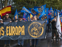 Flags of Spain mix with blue flags with the logo of the Alfonso I Association during the demonstration organized by the Association under th...