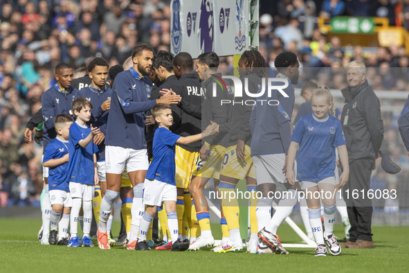 Dominic Calvert-Lewin #9 of Everton F.C. shakes hands with the opponents during the Premier League match between Everton and Crystal Palace...