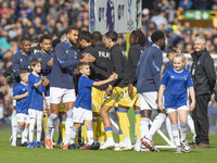 Dominic Calvert-Lewin #9 of Everton F.C. shakes hands with the opponents during the Premier League match between Everton and Crystal Palace...