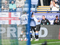 Sheffield Wednesday celebrate the opening goal claimed by #18, Marvin Johnson of Sheffield Wednesday (possible own goal) during the Sky Bet...