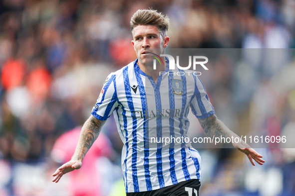 Josh Windass of Sheffield Wednesday celebrates his goal during the Sky Bet Championship match between Sheffield Wednesday and West Bromwich...