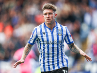 Josh Windass of Sheffield Wednesday celebrates his goal during the Sky Bet Championship match between Sheffield Wednesday and West Bromwich...