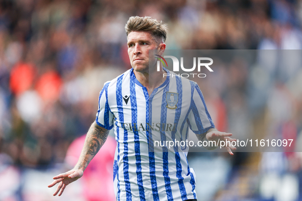 Josh Windass of Sheffield Wednesday celebrates his goal during the Sky Bet Championship match between Sheffield Wednesday and West Bromwich...