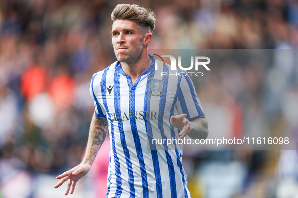 Josh Windass of Sheffield Wednesday celebrates his goal during the Sky Bet Championship match between Sheffield Wednesday and West Bromwich...