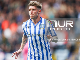 Josh Windass of Sheffield Wednesday celebrates his goal during the Sky Bet Championship match between Sheffield Wednesday and West Bromwich...