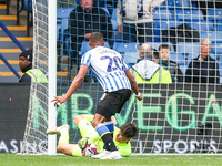 James Beadle of Sheffield Wednesday intercepts the cross at the feet of #20, Uros Racic of WBA during the Sky Bet Championship match between...