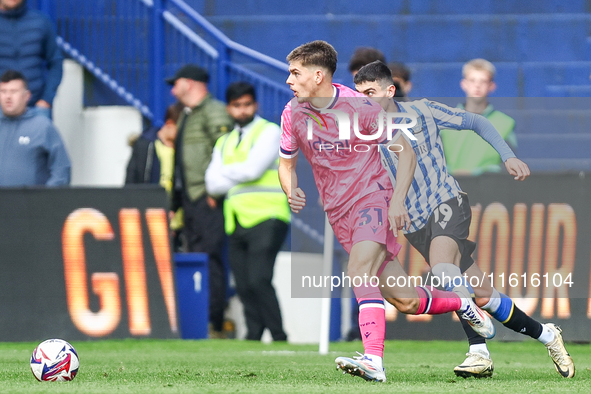 Tom Fellows of WBA attempts to break away from his man during the Sky Bet Championship match between Sheffield Wednesday and West Bromwich A...