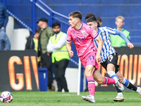 Tom Fellows of WBA attempts to break away from his man during the Sky Bet Championship match between Sheffield Wednesday and West Bromwich A...