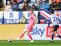 #14, Torbjorn Heggem of WBA, in action during the Sky Bet Championship match between Sheffield Wednesday and West Bromwich Albion at Hillsbo...