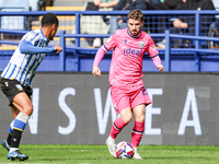 #22, Mikey Johnston of WBA is in attacking action during the Sky Bet Championship match between Sheffield Wednesday and West Bromwich Albion...