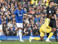 Ashley Young #18 of Everton F.C. gesticulates during the Premier League match between Everton and Crystal Palace at Goodison Park in Liverpo...