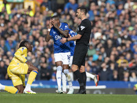 Ashley Young #18 of Everton F.C. gesticulates during the Premier League match between Everton and Crystal Palace at Goodison Park in Liverpo...