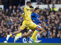 Iliman Ndiaye #10 of Everton F.C. is tackled by the opponent during the Premier League match between Everton and Crystal Palace at Goodison...