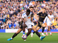 Wilfried Gnonto (Leeds United) goes down but isn't given a penalty during the Sky Bet Championship match between Leeds United and Coventry C...