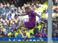 Jordan Pickford #1 (GK) of Everton F.C. during the Premier League match between Everton and Crystal Palace at Goodison Park in Liverpool, En...