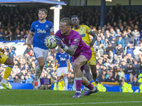 Jordan Pickford #1 (GK) of Everton F.C. makes a save during the Premier League match between Everton and Crystal Palace at Goodison Park in...