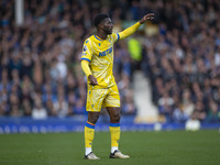 Jefferson Lerma #8 of Crystal Palace F.C. during the Premier League match between Everton and Crystal Palace at Goodison Park in Liverpool,...