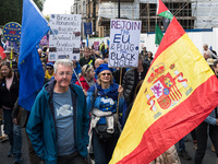 LONDON, UNITED KINGDOM - SEPTEMBER 28, 2024: Thousands of pro-EU demonstrators march in central London calling for the UK to rejoin the Euro...