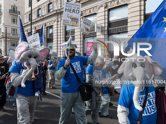 LONDON, UNITED KINGDOM - SEPTEMBER 28, 2024: Thousands of pro-EU demonstrators march in central London calling for the UK to rejoin the Euro...