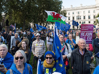 LONDON, UNITED KINGDOM - SEPTEMBER 28, 2024: Thousands of pro-EU demonstrators take part in a rally in Parliament Square calling for the UK...