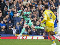 Dean Henderson #1 (GK) of Crystal Palace F.C. during the Premier League match between Everton and Crystal Palace at Goodison Park in Liverpo...