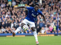 Jefferson Lerma #8 of Crystal Palace F.C. during the Premier League match between Everton and Crystal Palace at Goodison Park in Liverpool,...