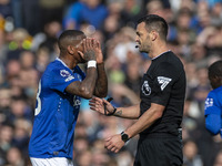 Ashley Young #18 of Everton F.C. gesticulates during the Premier League match between Everton and Crystal Palace at Goodison Park in Liverpo...