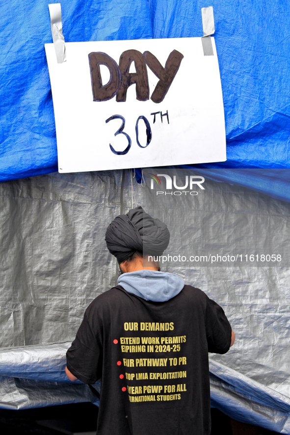 An organizer adjusts a tent and sets up for a protest at an international students' encampment in Brampton, Canada, on September 28, 2024. T...