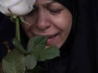 A veiled Iranian protester mourns while holding a flower during a protest gathering to condemn an Israeli air strike against Hezbollah's hea...