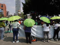 Feminist groups with umbrellas march from the Glorieta de las Mujeres que Luchan to the Zocalo in Mexico City, Mexico, on September 28, 2024...