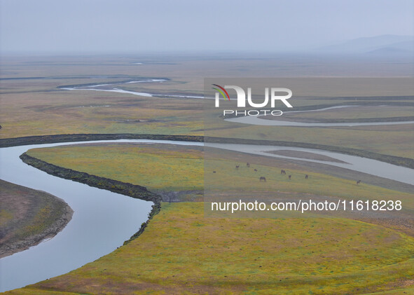 An aerial photo taken in Hulunbuir, China, on September 28, 2024, shows the winding Mogoler River passing through the grassland during autum...