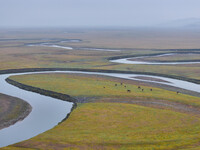 An aerial photo taken in Hulunbuir, China, on September 28, 2024, shows the winding Mogoler River passing through the grassland during autum...