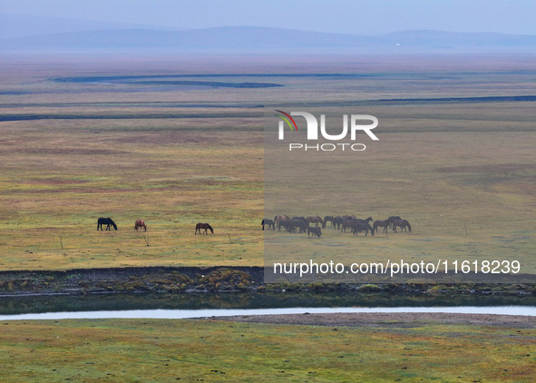 An aerial photo taken in Hulunbuir, China, on September 28, 2024, shows the winding Mogoler River passing through the grassland during autum...