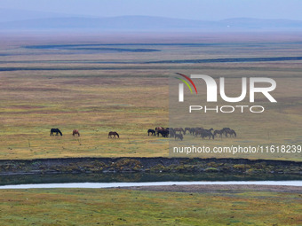 An aerial photo taken in Hulunbuir, China, on September 28, 2024, shows the winding Mogoler River passing through the grassland during autum...