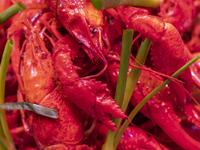 Crayfish are displayed at a barbecue stall at a night market in Nanning, China, on April 13, 2024. (