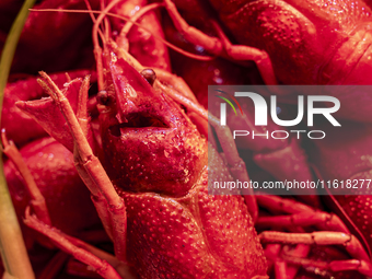 Crayfish are displayed at a barbecue stall at a night market in Nanning, China, on April 13, 2024. (