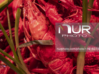 Crayfish are displayed at a barbecue stall at a night market in Nanning, China, on April 13, 2024. (