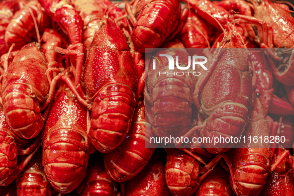 Crayfish are displayed at a barbecue stall at a night market in Nanning, China, on April 13, 2024. 