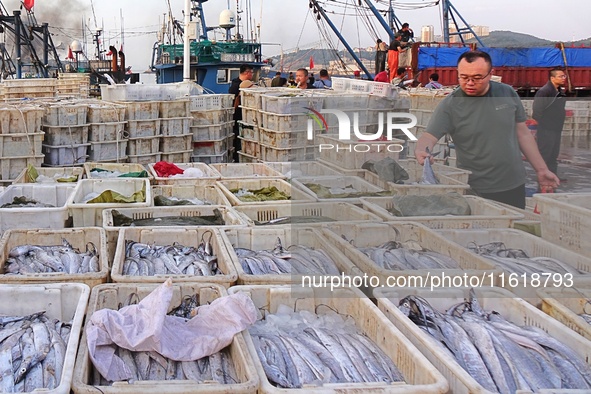 Seafood lifted ashore fills the dock at Jimiya Fishing Port in the West Coast New area of Qingdao, Shandong province, China, on September 28...