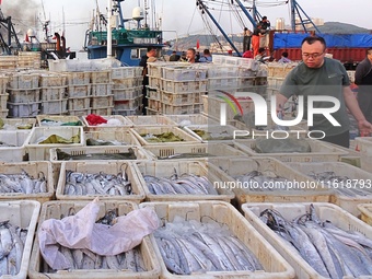 Seafood lifted ashore fills the dock at Jimiya Fishing Port in the West Coast New area of Qingdao, Shandong province, China, on September 28...